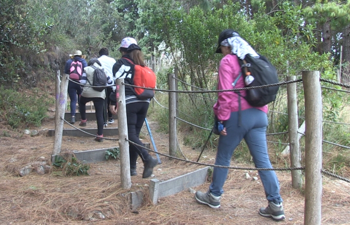 Abren nuevos senderos ecol&oacute;gicos en los Cerros Orientales de Bogot&aacute;