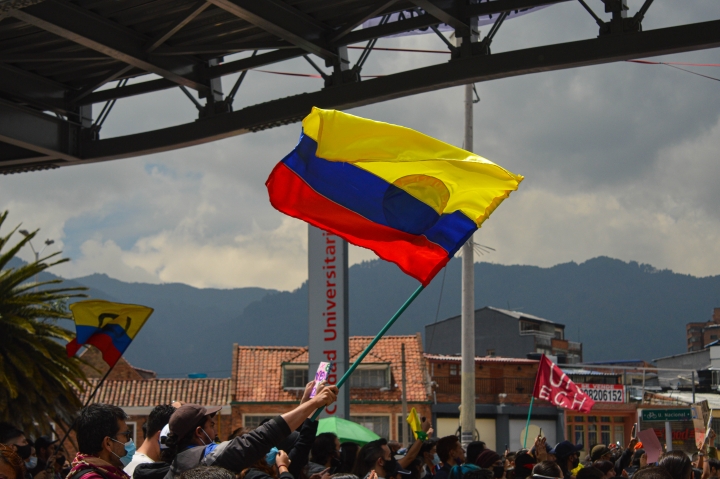 Banderas en la manifestaci&oacute;n