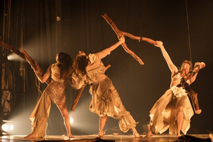 A Penca, colectivo de artistas de origen brasile&ntilde;o invitado al encuentro, trabaja en la conecci&oacute;n entre estudios de circo, g&eacute;nero y naturaleza.