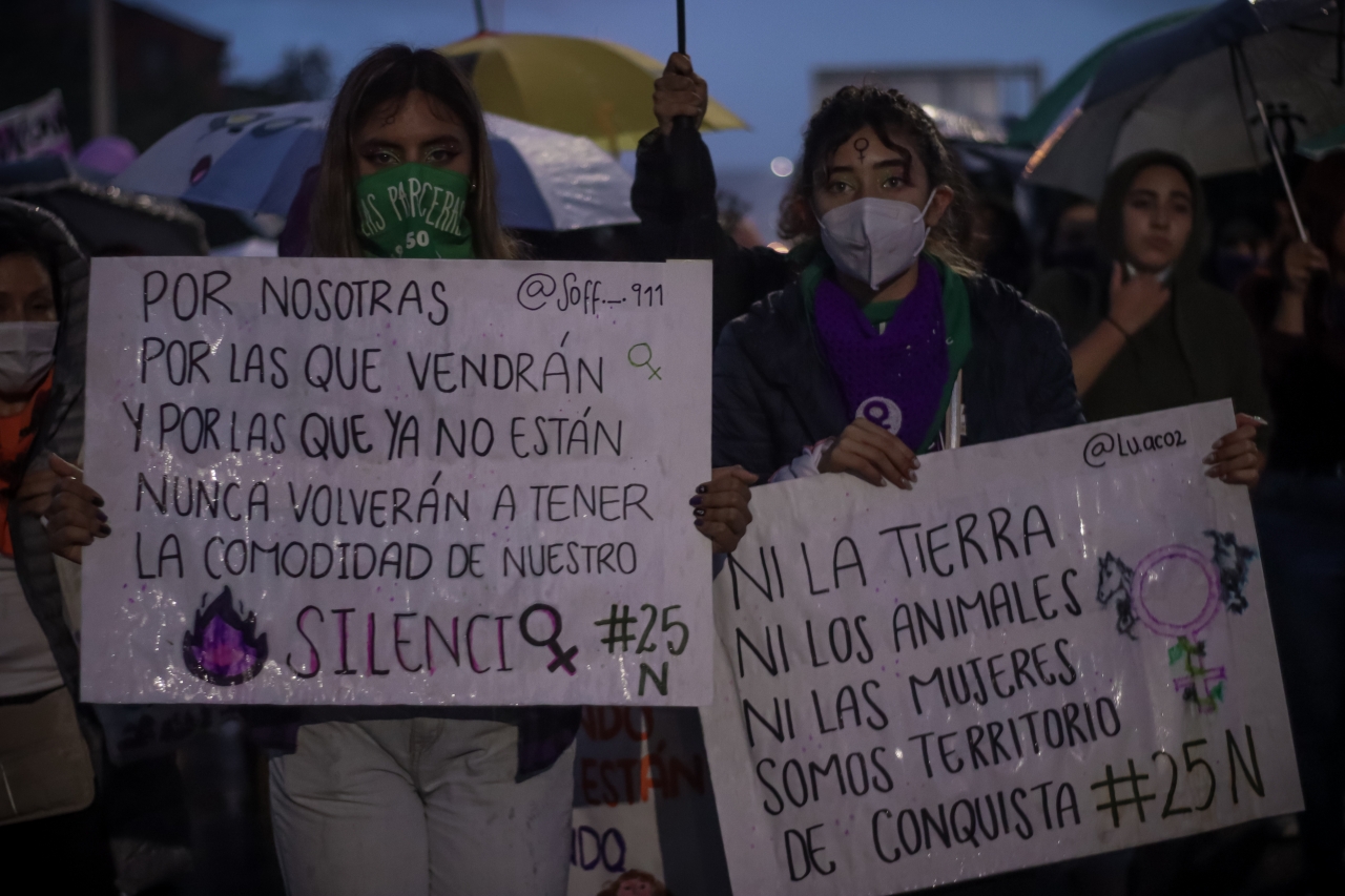 Marcha feminista un 25 de noviembre, día internacional de la eliminación de la violencia contra la mujer.|||