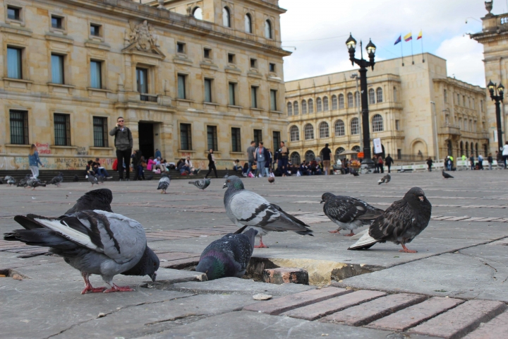 La Plaza de Bolívar es uno de los lugares más emblemáticos de Bogotá y ayer se levantaron sus adoquines para ser usados en contra de la fuerza pública.