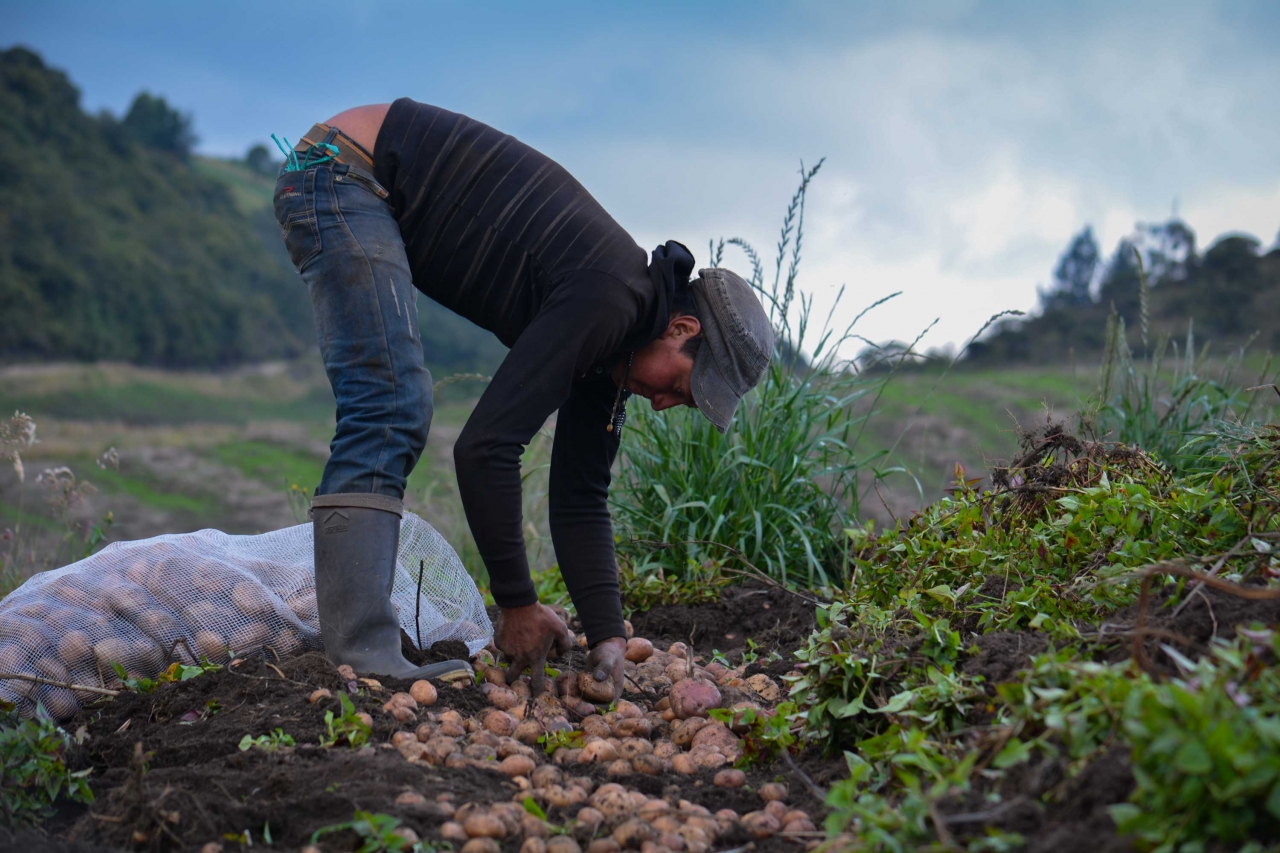 Con la ruana bien puesta: diario de un campesino colombiano