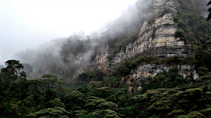 Quebrada las Delicias