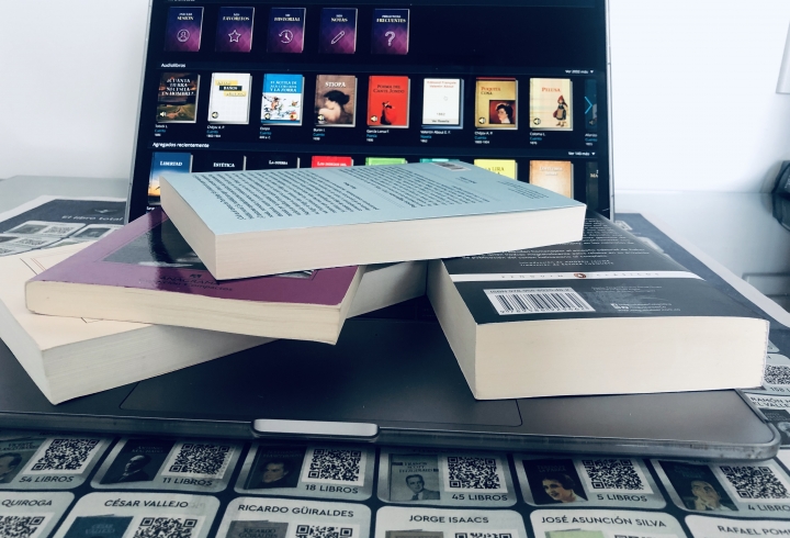 Libros digitales: de cu&aacute;ndo Alicia encontr&oacute; una nueva forma de leer