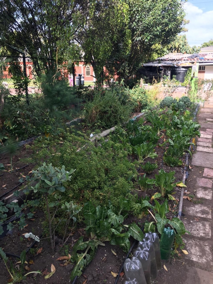 Huerta Junta de Acción Comunal de Marsella