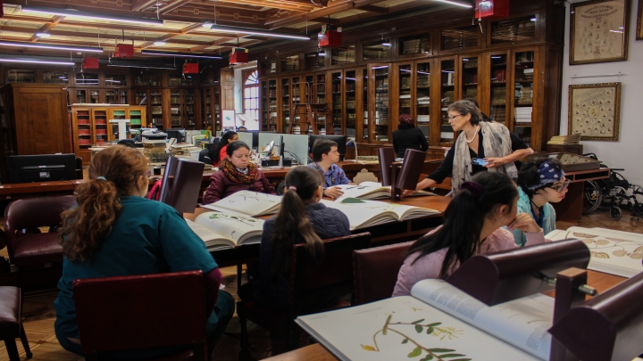 En la clase de expedición botánica los estudiantes, aprenden sobre turismo accesible e incluyente aprovechando los espacios patrimoniales del claustro de la Universidad del Rosario