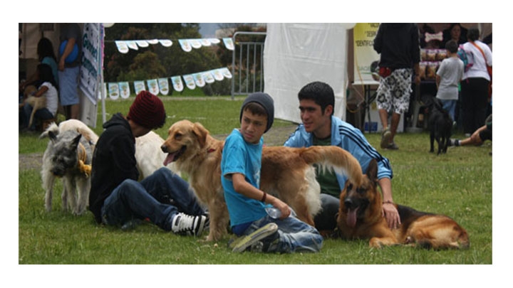 Foto del día:Perros al Parque 2011