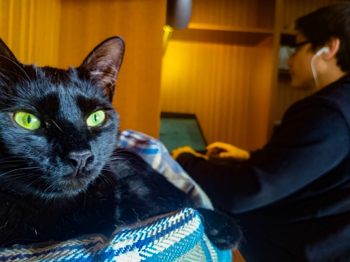 Trabajo en casa en compa&ntilde;&iacute;a de Lala / 10 am, 13 de abril