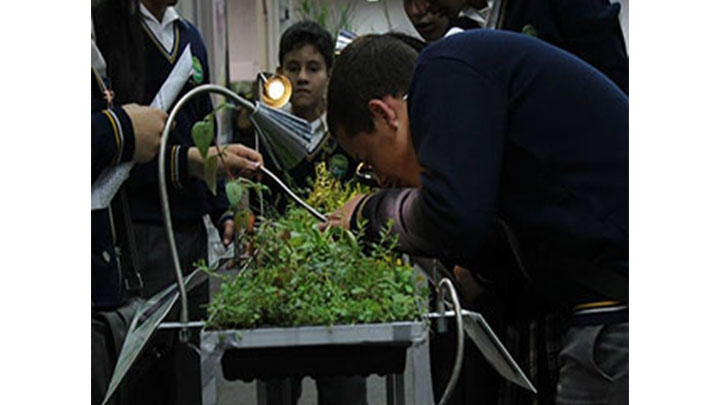 Expociencia: una feria para niños y jóvenes