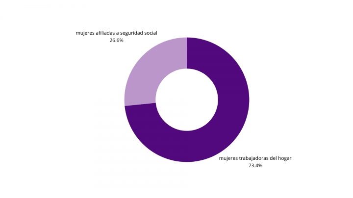 Gr&aacute;fica 2. &Iacute;ndice de trabajadoras dom&eacute;sticas en latam con seguridad social.