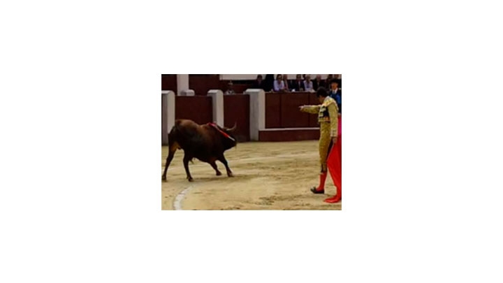 Actualmente, la tauromaquia se practica en menos de 10 pa&iacute;ses. Colombia es uno de &eacute;stos.