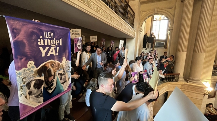 D&iacute;a de la aprobaci&oacute;n de la Ley &Aacute;ngel en el Congreso de la Rep&uacute;blica. En la foto, los colectivos animalistas que acompa&ntilde;aron el debate .