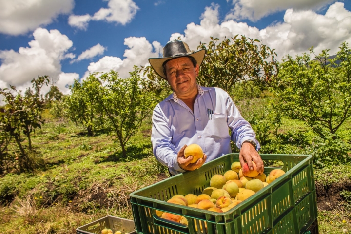 El futuro está en el campo, Boyacá