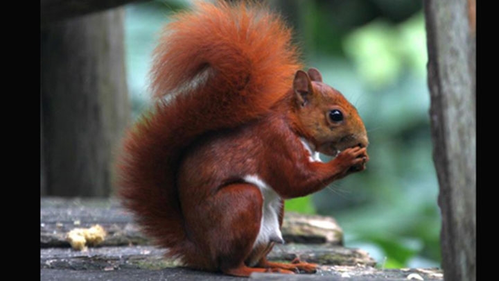 Plazacapital.co obtiene segundo lugar en concurso de fotograf&iacute;a