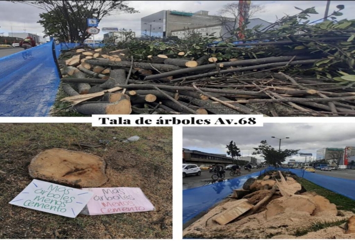 Tala de árboles en Bogotá, por la Avenida 68 el pasado13 de abril.