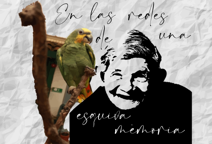 Fotoilustraci&oacute;n 'En las Redes de una Esquiva Memoria"