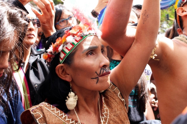 Plantón por la Amazonía: ¡alto a los ecocidios!