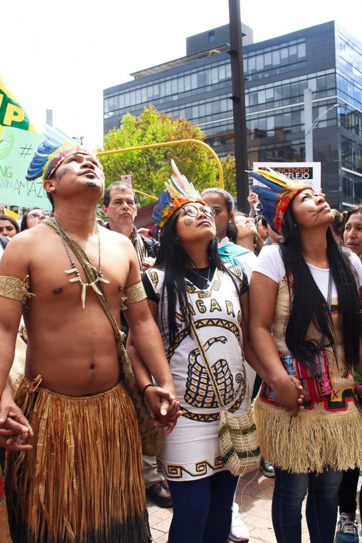 Plant&oacute;n por la Amazon&iacute;a: &iexcl;alto a los ecocidios!