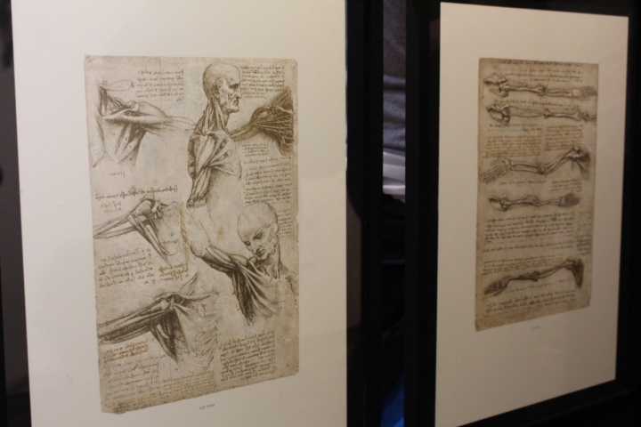 El vuelo de Da Vinci aterriz&oacute; en el Chic&oacute;
