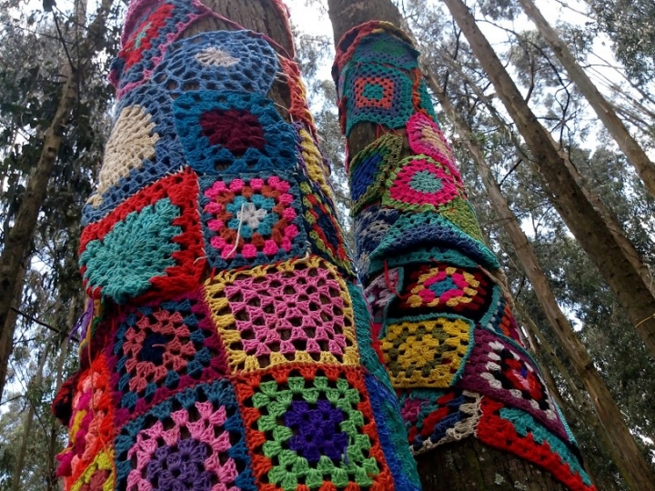 Tejidos en el parque San Jerónimo de Yuste