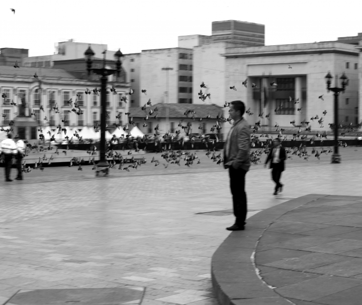 Palomas en la Plaza de Simón Bolívar. Crédito de la foto: Fátima Martínez