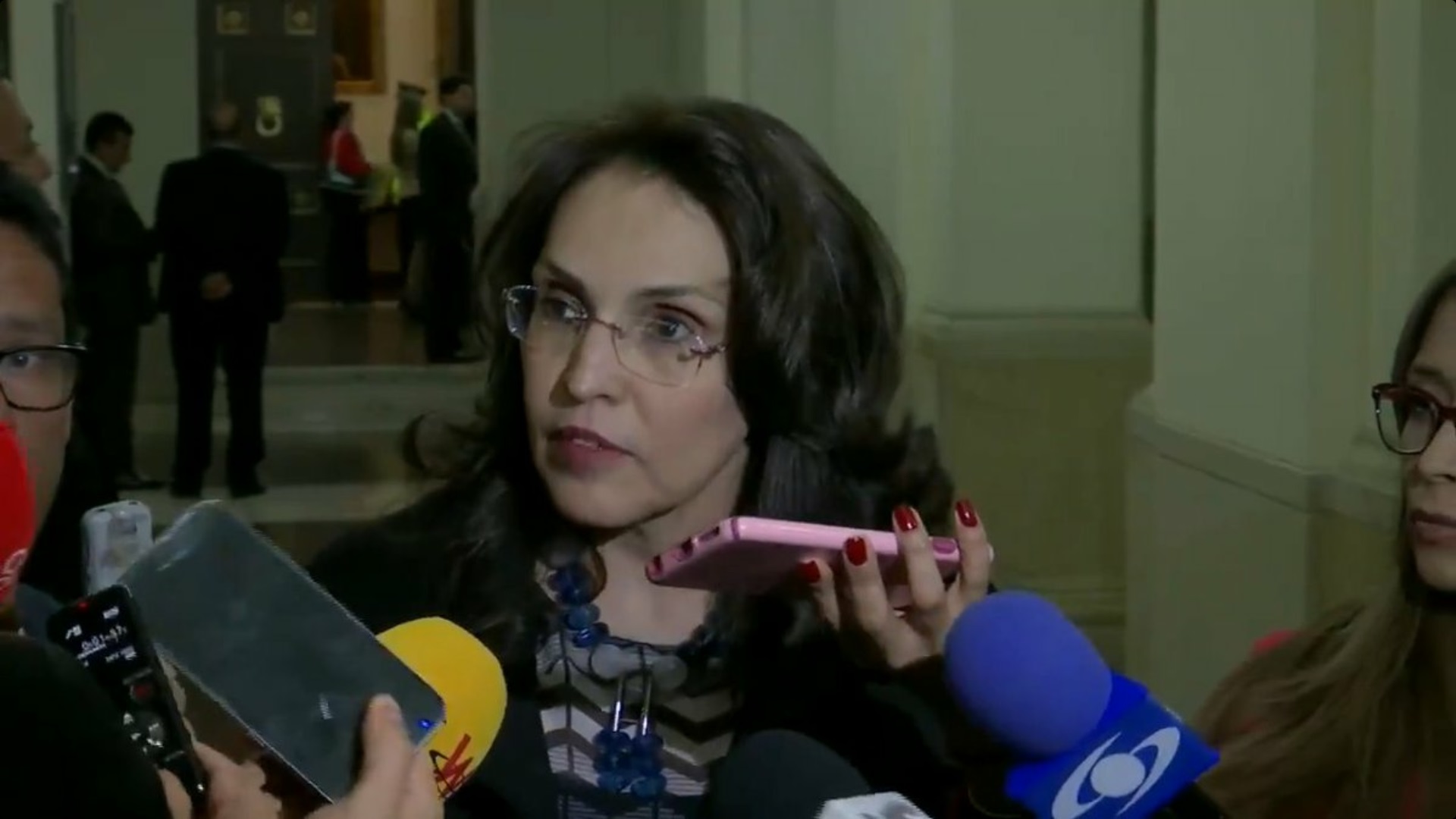 Senadora Viviane Morales realizando las declaraciones sobre el proyecto de ley.