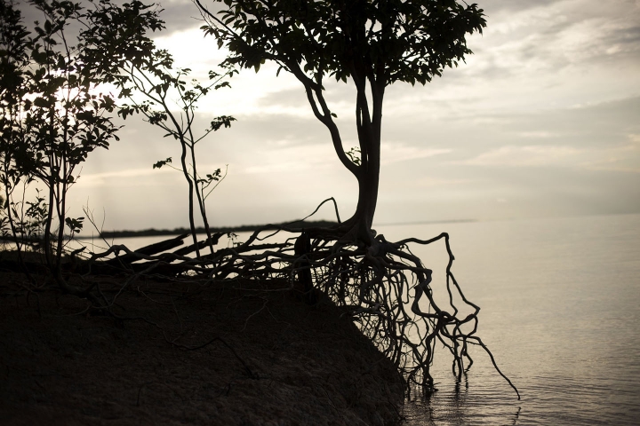 En 2020 el Amazonas perdió 2.3 millones de hectáreas, de las cuales 500 se encontraban en territorio colombiano