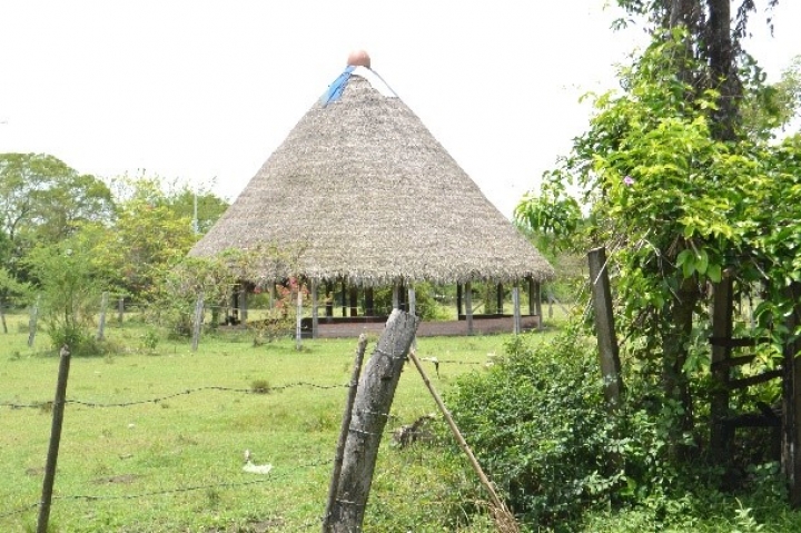 Comunidad indígena Ambiká Pijao en Tolima, de regreso a su territorio ancestral después de casi 20 años. Agosto 13 de 2022. Castilla, Tolima.