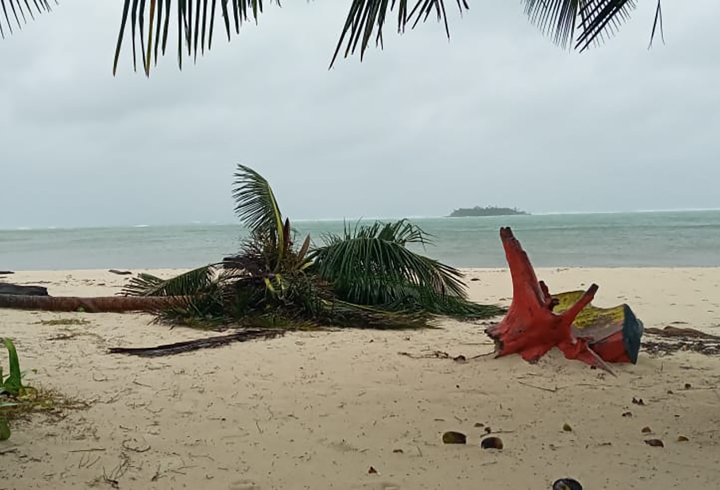 Estado actual de la Isla de San Andrés tras la devastación por huracán