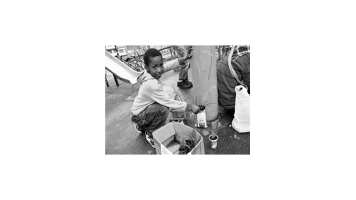 Sembrando Barrio en la localidad de Los M&aacute;rtires