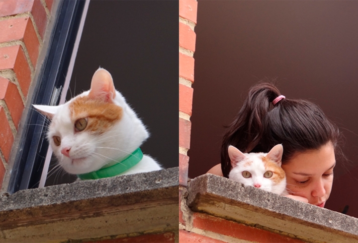 Quienes antes permanec&iacute;an solos, ahora no lo est&aacute;n.