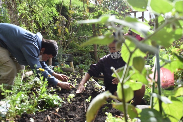 Proceso comunitario de huerta en el proyecto Huertopía