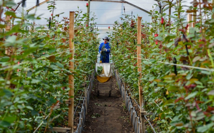 Foto: Juli&aacute;n R&iacute;os