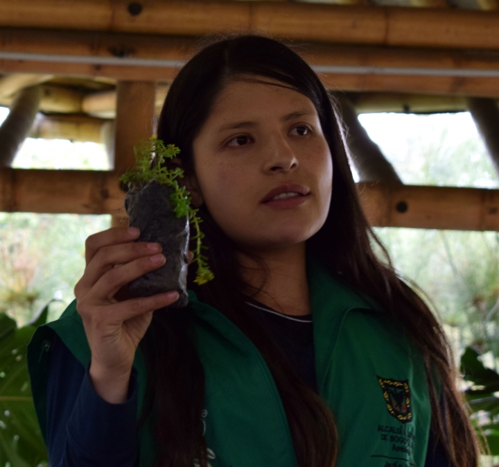 Instructora del Jardín Botánico