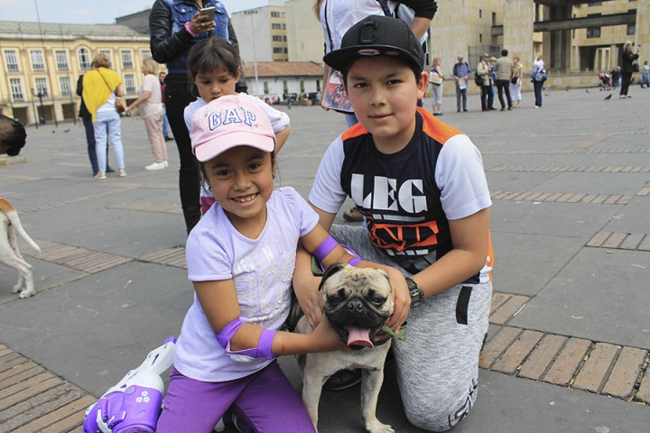 Aunque esta familia no posee un Pitbull o raza peligrosa, junto a su pug decidieron hacer presencia y apoyar la causa.