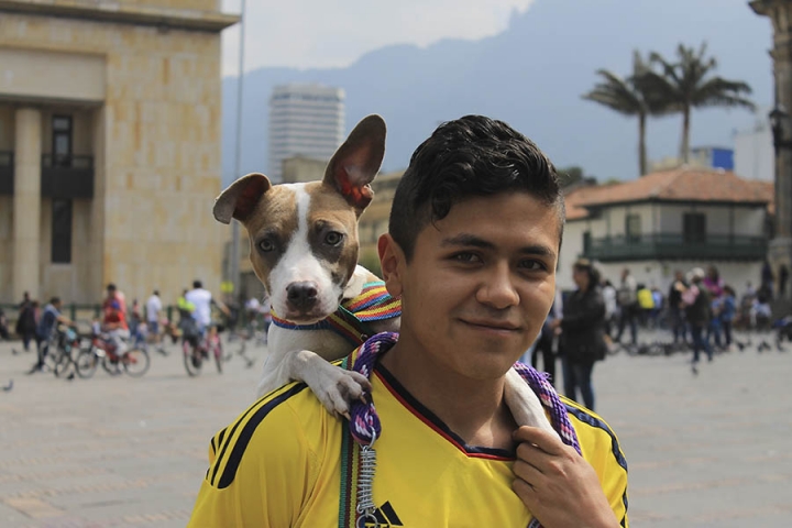 Freddy Carre&ntilde;o dedica parte de su vida a rescatar perros de la calle, en su hombro se encuentra Kira, la pitbull que rescat&oacute; del Bronx y quien por falta de vacunas no ha podido caminar junto a los dem&aacute;s Pitbull