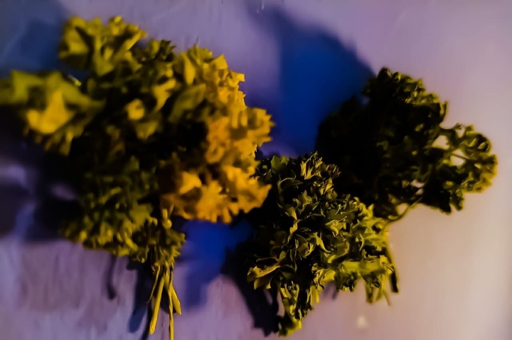 2. Intento de &aacute;rboles