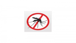 Esta es la imagen que representa la campaña contra el dengue del Ministerio de Salud Nacional.|||