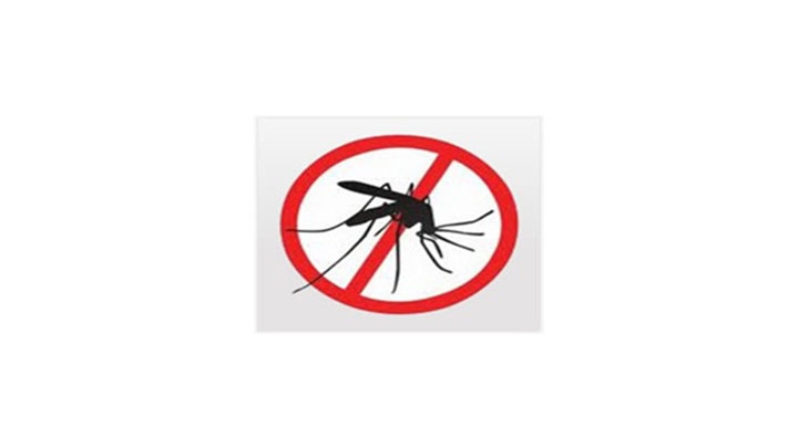Esta es la imagen que representa la campa&ntilde;a contra el dengue del Ministerio de Salud Nacional.