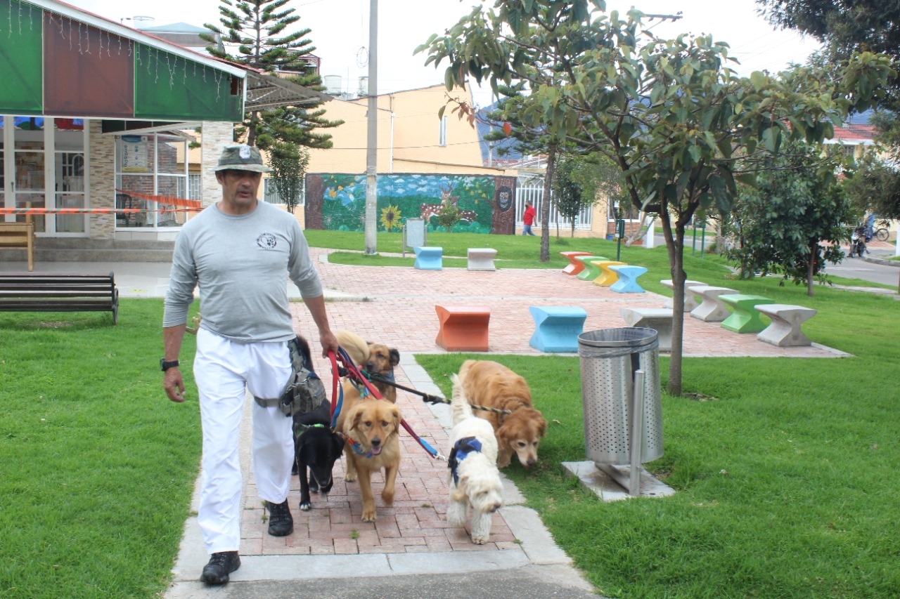 Luis Quintero tiene experiencia de más de quince años en el cuidado y adiestramiento canino.|Luis Quintero es paseador y entrenador canino certificado según normativa técnica y protocolo del servicio- NIVEL AVANZADO por el SENA.|||