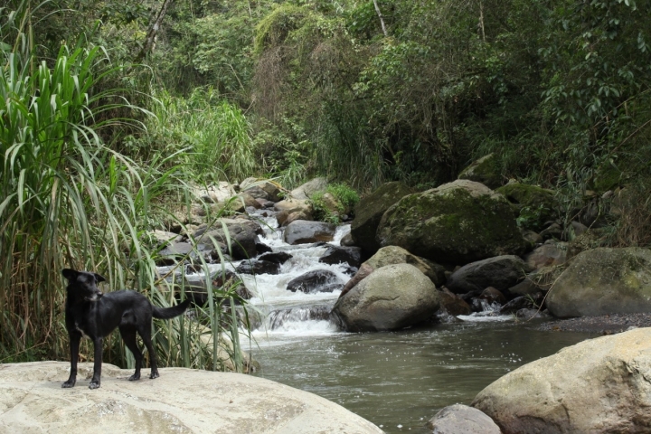 Aldea Feliz, un escenario local con conciencia global