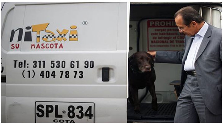 Canitaxi es la primer empresa en el transorte especializado de mascotas en Bogot&aacute;.