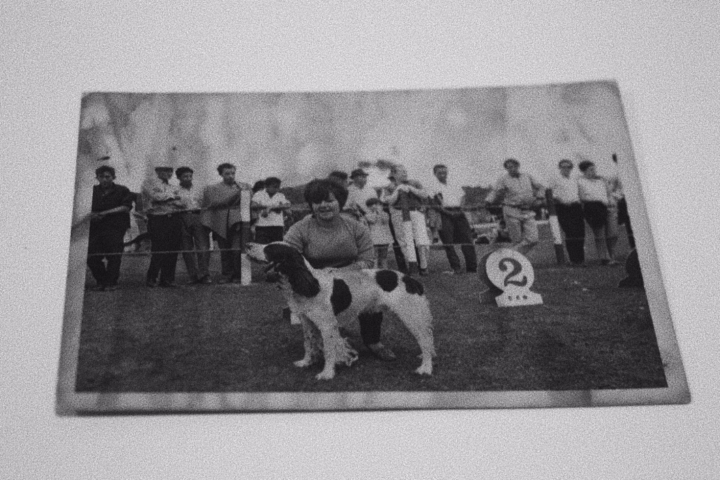 Recordar del lat&iacute;n recordari