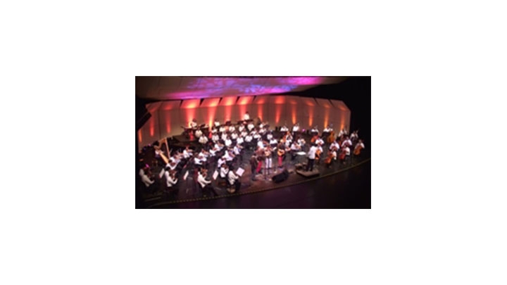 El Teatro Jorge Eliecer Gait&aacute;n fue en escenario en donde se dieron cita Velosa y los Carrangueros con la Sinf&oacute;nica Nacional de Colombia para unir sus instrumentos en un solo tono.