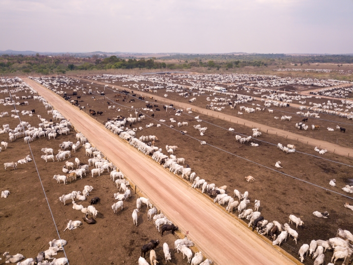 Gran parte de las emisiones de gases efecto invernadero que produce Colombia vienen del sector agropecuario, que promueve la deforestación y prácticas no sostenibles con los suelos.