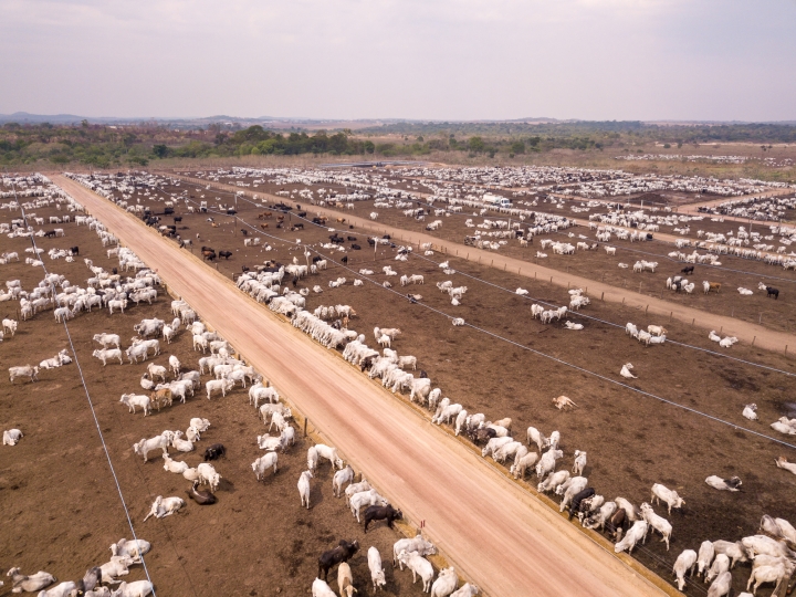 Gran parte de las emisiones de gases efecto invernadero que produce Colombia vienen del sector agropecuario, que promueve la deforestaci&oacute;n y pr&aacute;cticas no sostenibles con los suelos.