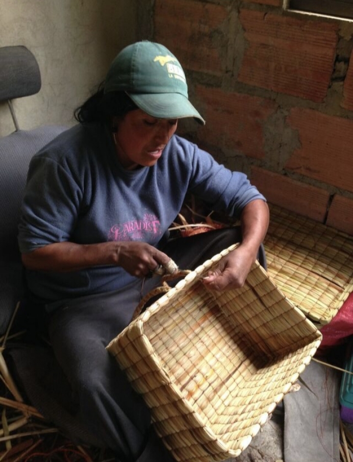 Flor tejiendo canastos en junco