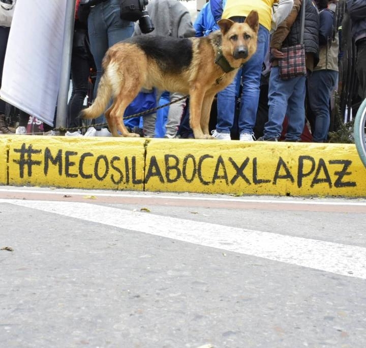 &ldquo;&iexcl;Hoy muere un artista y se levanta un pueblo!&rdquo;, el artista John Fitzgeral en huelga de hambre