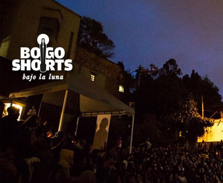 Festival Bogoshort Bajo la luna, Foto: Cortes&iacute;a
