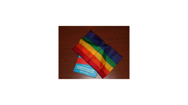 La decisi&oacute;n genera una discusi&oacute;n sobre los derechos de la poblaci&oacute;n LGBTI.